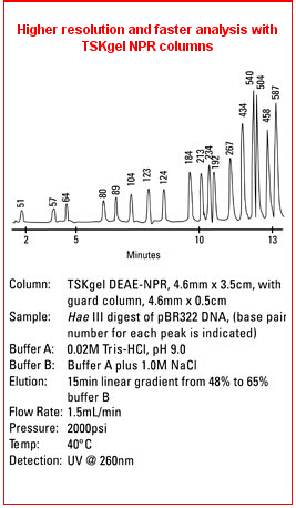 5d4b922d71407.png A.png