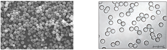 66ed10c06ee6a.png 222.png